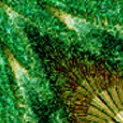 The Muzzl3: Frogger Phobia (Pixelgasm Mix)