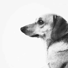 Edith Piaf - La Vie en Rose (Cover)