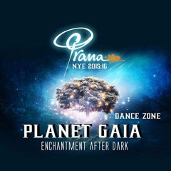 Herman Saiz @ Planet Gaia  January 2016 [ Prana Festival New Zealand ]