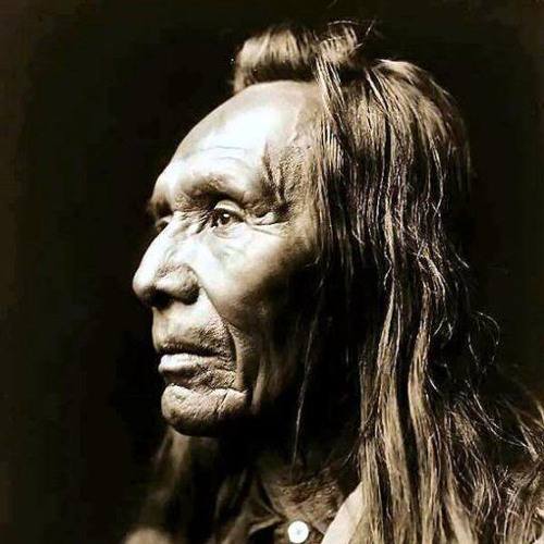 Legacy Carlos castaneda, El brujo, Niveles de conciencia