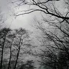 Demi Lovato - Sky Scrapper