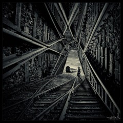 Kraailawaai- Beven Van Angst