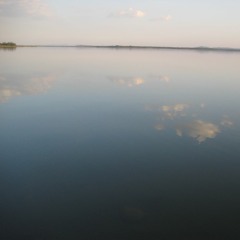 Bedu Pako flute Uttarakhandi