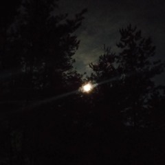 あまく危険な香り(山下達郎・かヴぁあ)