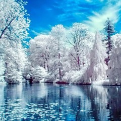 Snowasis