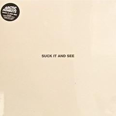 Piledriver Waltz - Arctic Monkeys Cover