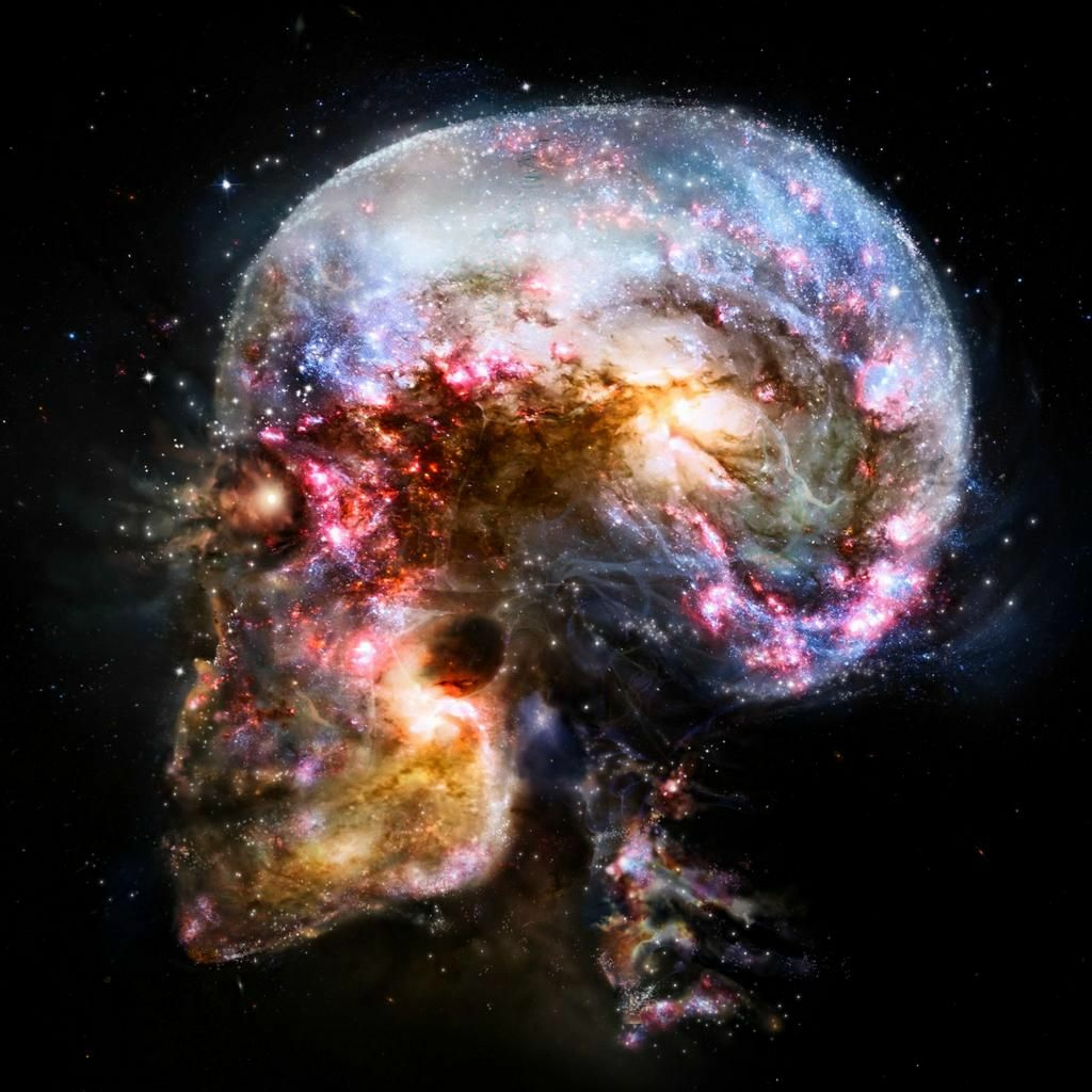 Thinking Allowed episode artwork