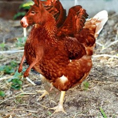 Underground In The Skye 01 - 2016