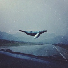 FlamineM - Киты Плывут Вверх