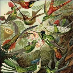 Der Wald - 22ROCKETS