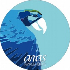 G.Schneider&A.Galluzzi RMX ARAS05- Snippet