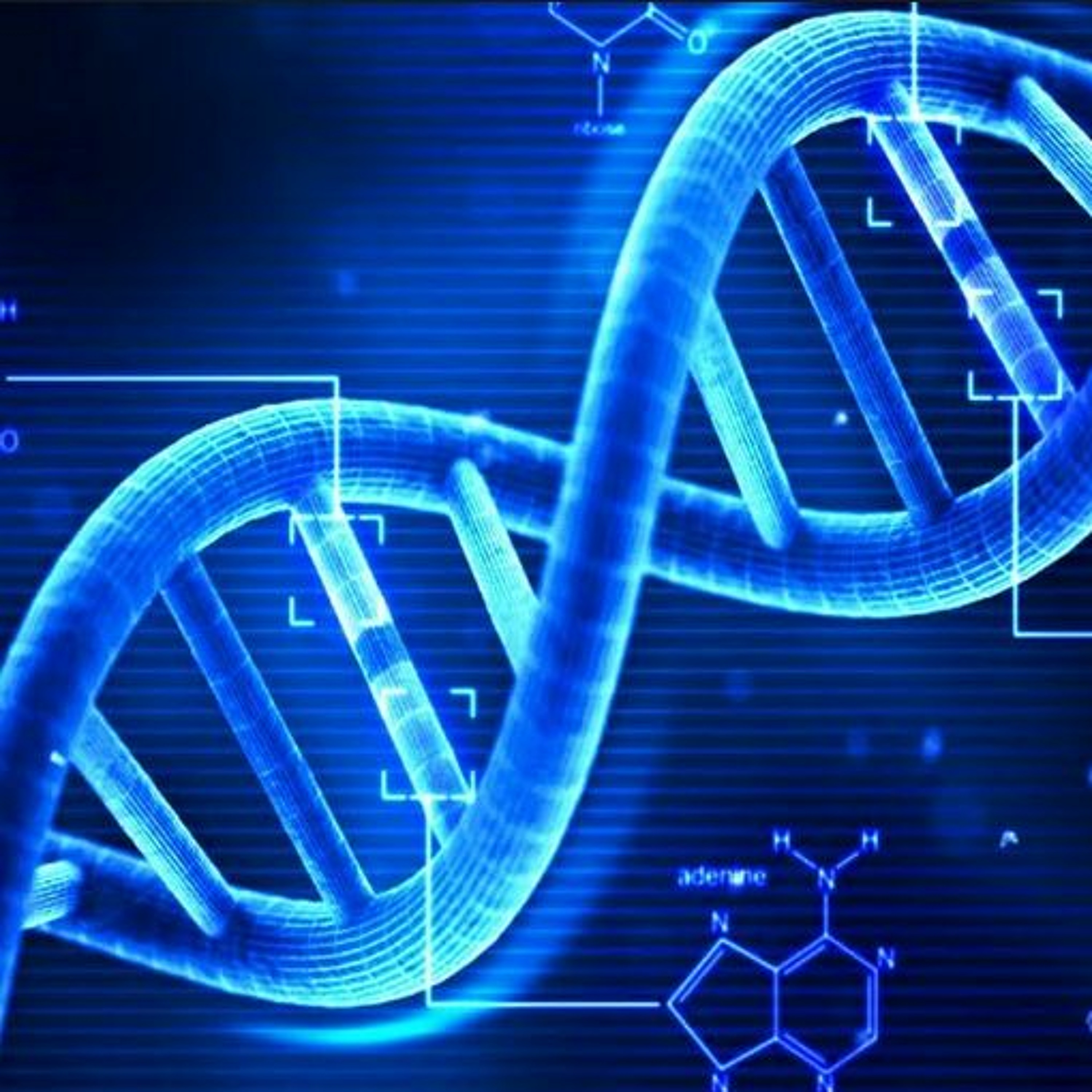 DNA episode artwork