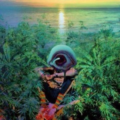 Paradise Connection - Creation
