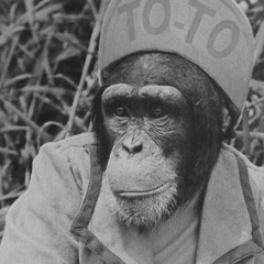Toto - Rosanna / Africa (Funkafilia's Edits) / EDIT EXTREME RATE ⭑⭑⭑⭑⭑