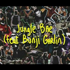 Jungle Bae - Skrillex, Diplo, Bunji Garlin (DIOMARTIEN MASH UP EDIT)
