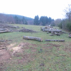 On S'en Souviendra Marion