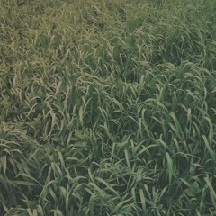 ｋａｍｐｆｉｒｅ_ｂｕｍｐ