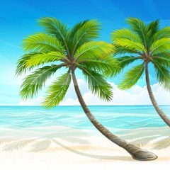 Shaggy - In The Summer Time ( Remix Dj Brown )