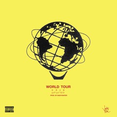 World Tour (prod. by babyxwater)
