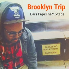 Trippy (1 Thing) Heezy, J.O. Brooklyn Trip