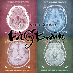 Big Brain - Welcome (cover by fifimaghend)