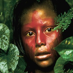 World Music Observer
