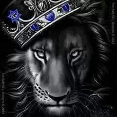 BOSS Rapta- Words Of Wisdom