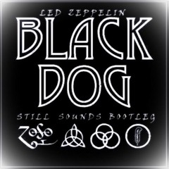 Led Zeppelin - Black Dog (Still Sounds Bootleg) Preview