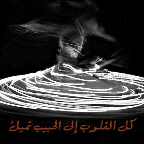 دكتور عبد العزيز سلام - كل القلوب إلى الحبيب تميلُ