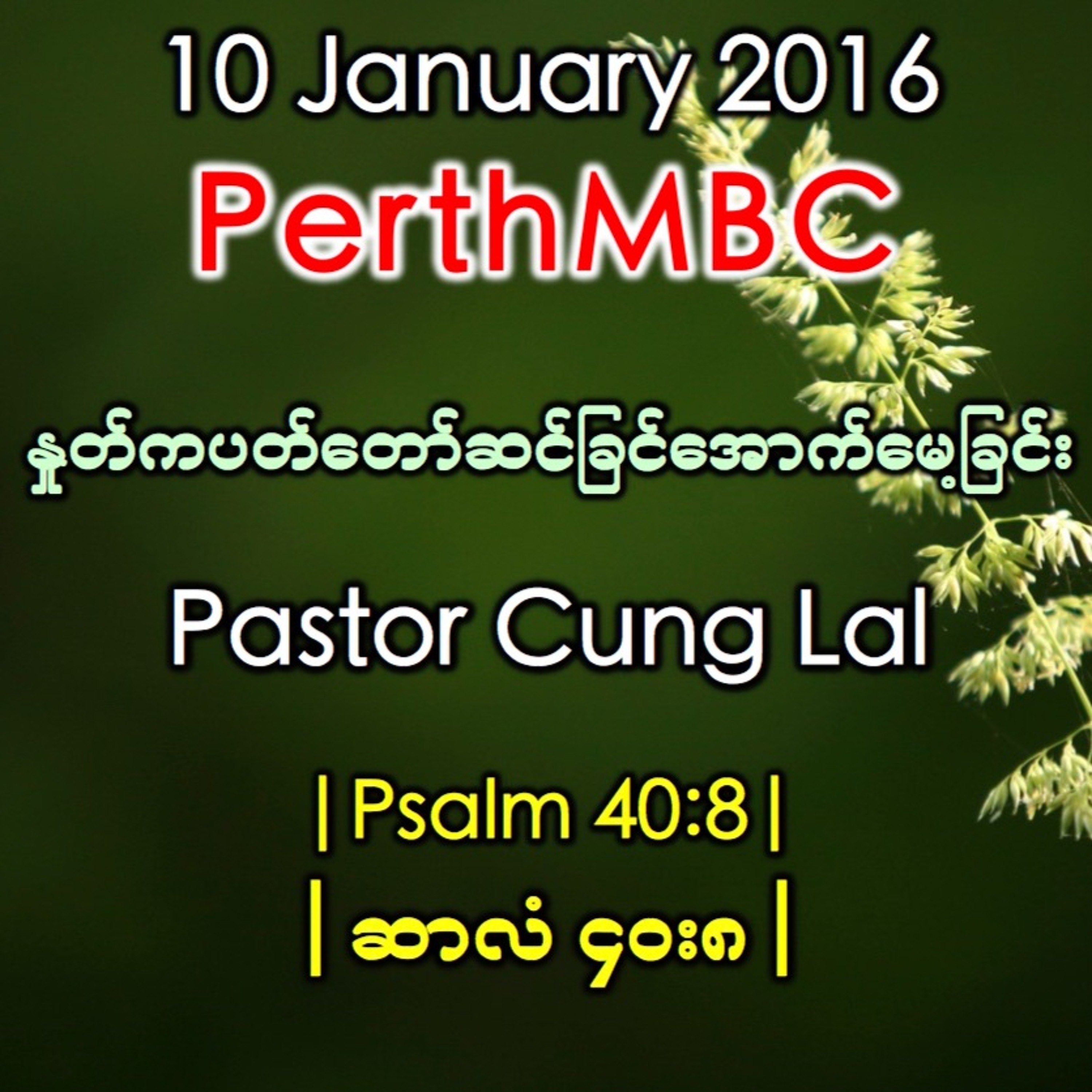 Psalm 40:8 (ဆာလံ ၄၀း၈) episode artwork