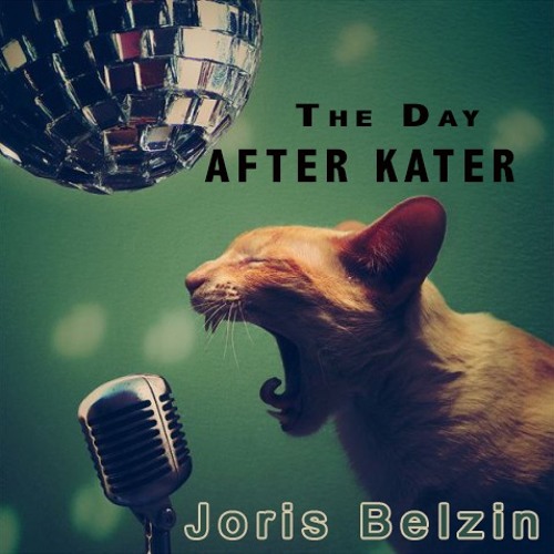 The Day After Kater (Berlin Open Air 2013)