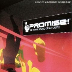 Promise The Future Sound Of NU Castle Compiled & Mixed By Richard Tulip 2002