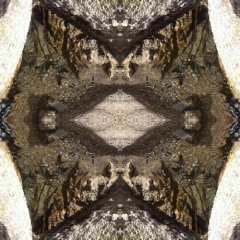 Praeditos Apedreaditus KONOKUNOK & Urilá