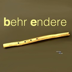 Behr - Santuri - Endere Ableton Instrument Pack