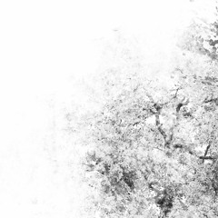 Nightvision [Free Download]