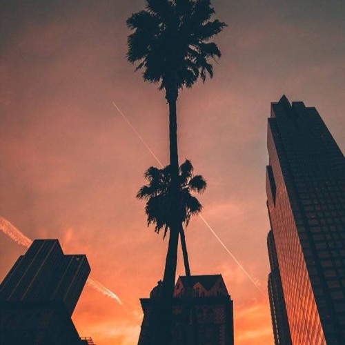 Ehrling Chasing Palm Trees by Ehrling likes Listen to music