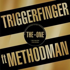 Triggerfinger feat. Method Man  "The One"   (David Bianco Mix )
