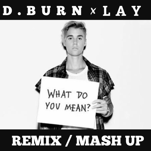 What do you mean - ft. Lay (Remix/Mash up)