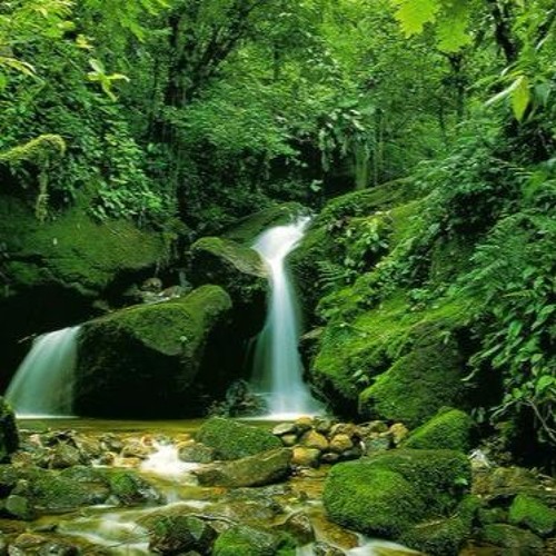 TAHI　3x2 nature sound Nature Sound 17 - THE MOST RELAXING SOUNDS - - YouTube