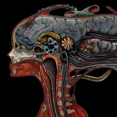 Tribe/Mental/Acid parti 2