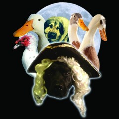 01 Quantities And Breeds