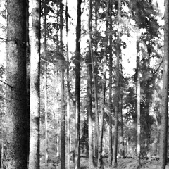 Guillaume De Machaut - Dame De Qui Toute Ma Joie Vient