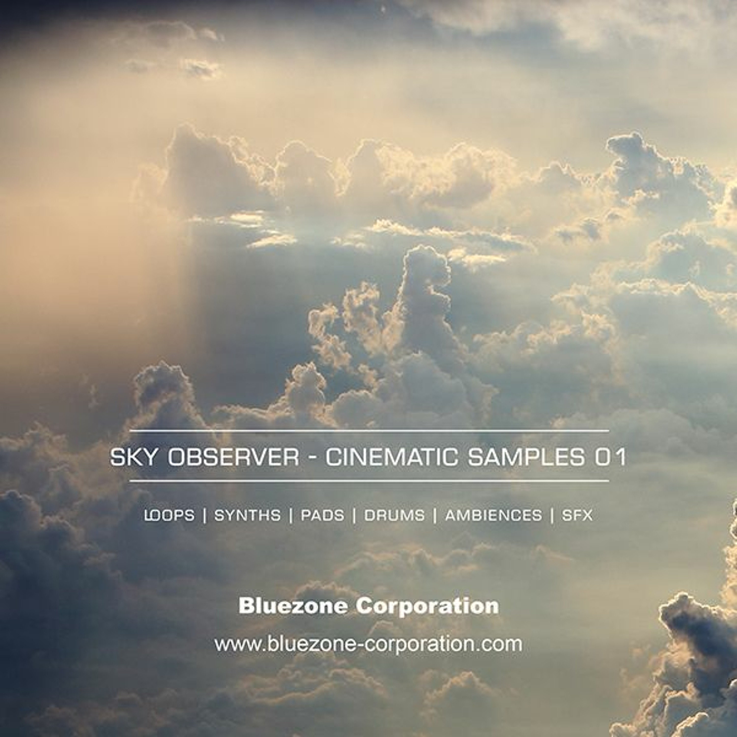 Bluezone Corporation