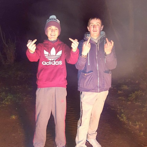ECCIES