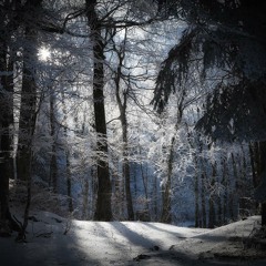 Artikodin - Blizzard