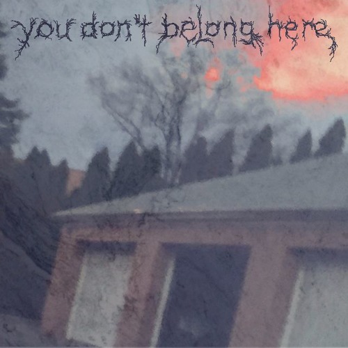 you dont belong here (w/code abi)