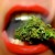 Artwork for Smoke Weed Wit A Bad Bitch produced by willie p