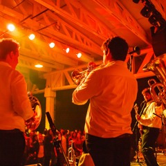 Ljubičice - Sama (Live@Mikser House, Beograd 2014)