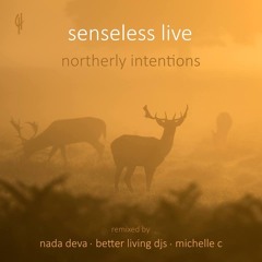 Senseless Live - Let Me Out (Better Living DJ's Remix)