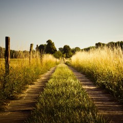 Just Go - Dejedi & Spur DnB Remix